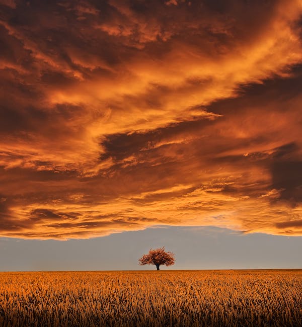amazing-beautiful-breathtaking-clouds-2