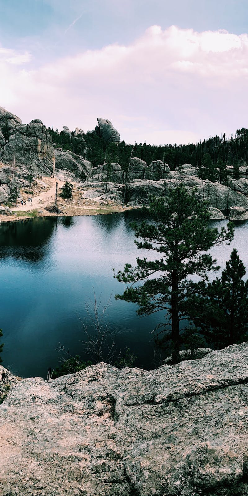 pexels-photo-1198817