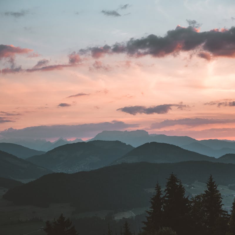 pexels-photo-1261728-3