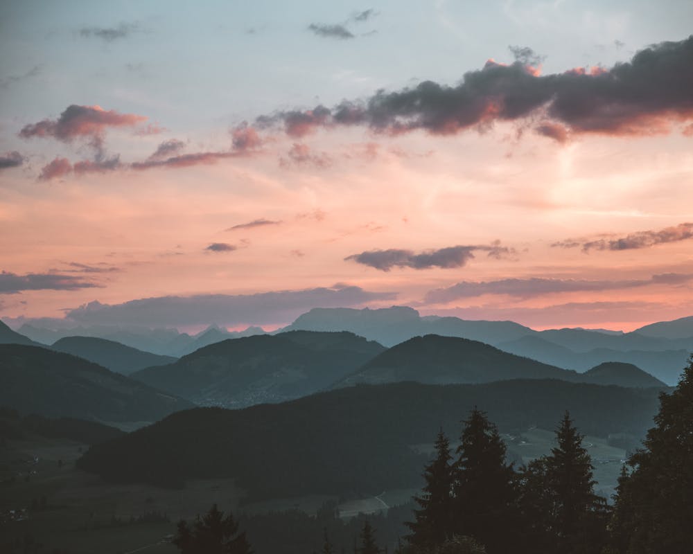 pexels-photo-1261728