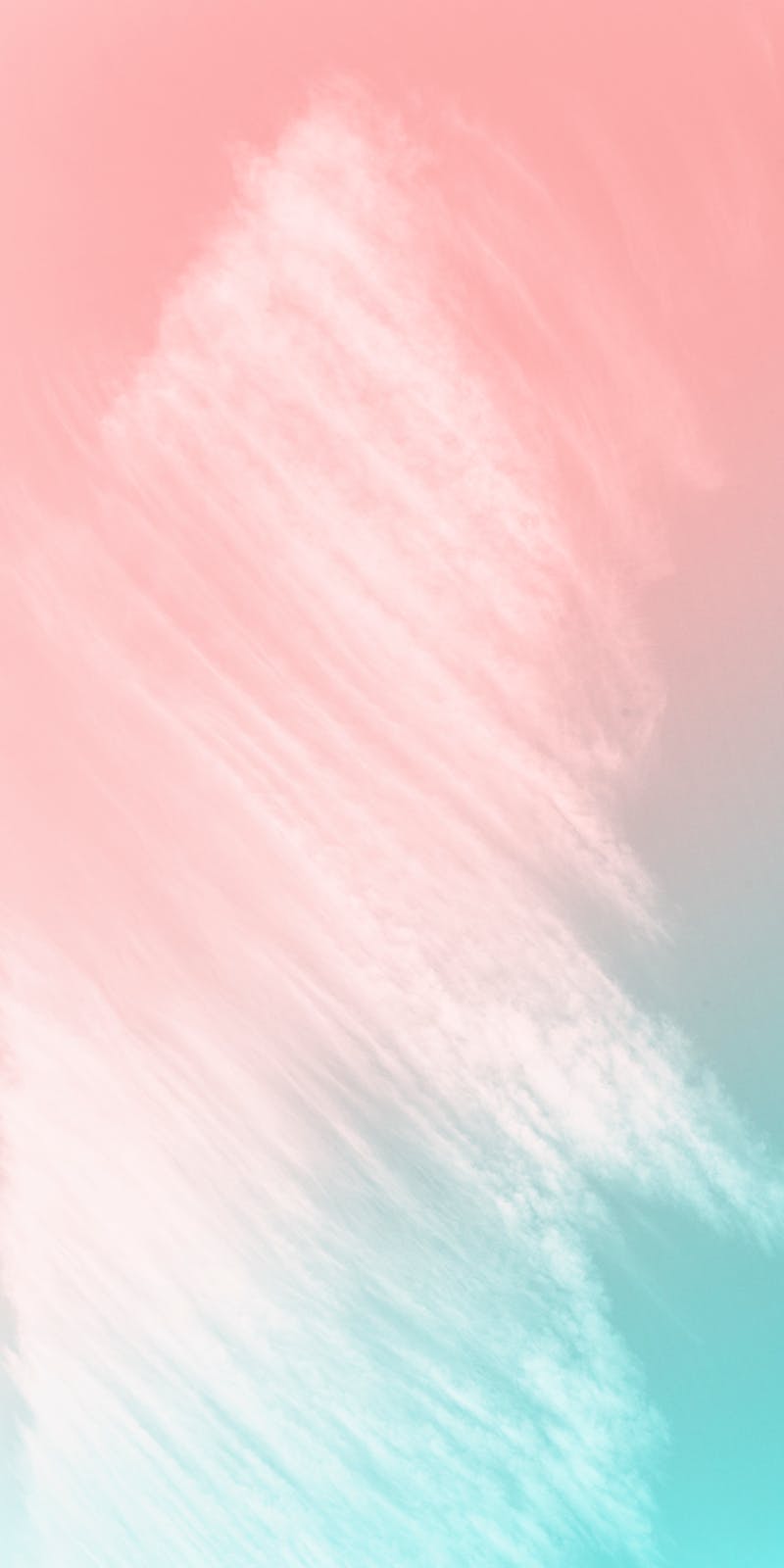 pexels-photo-2088205-3