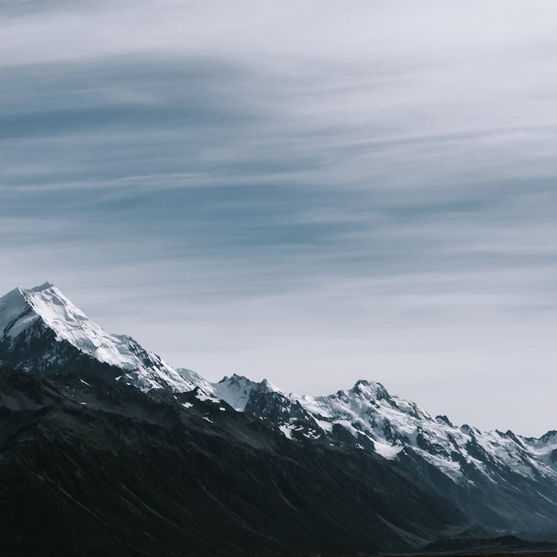 pexels-photo-772803-2