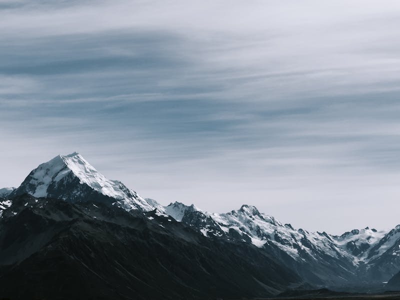 pexels-photo-772803-3