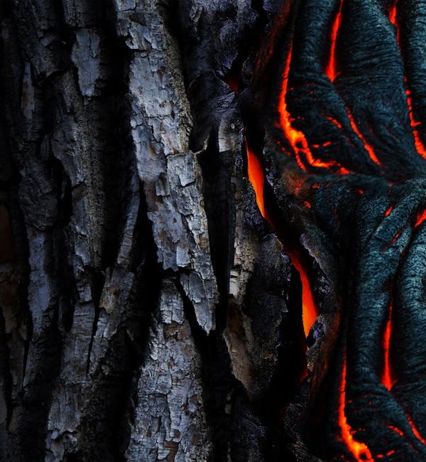 pexels-photo-983200-2